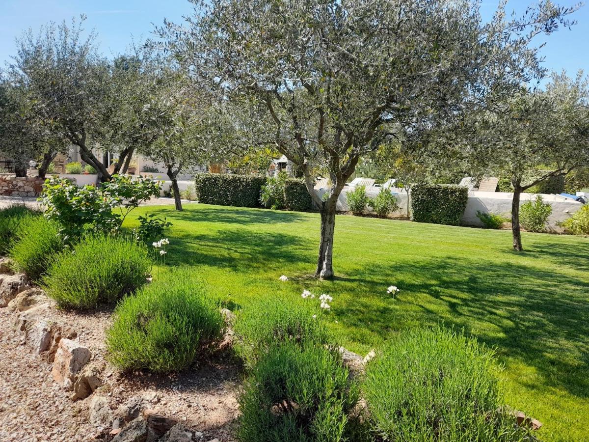 Gîte provençal indépendant avec piscine chauffée : LE SUY BIEN Flayosc Exterior foto